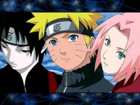 new team 7